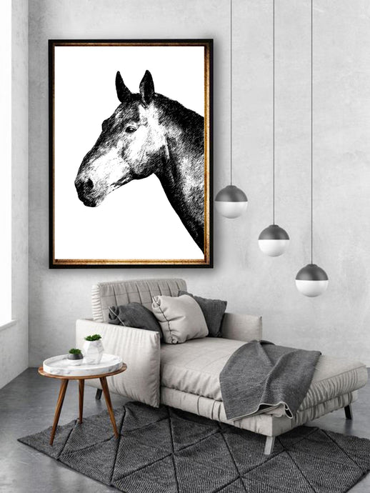 Black and White Horse